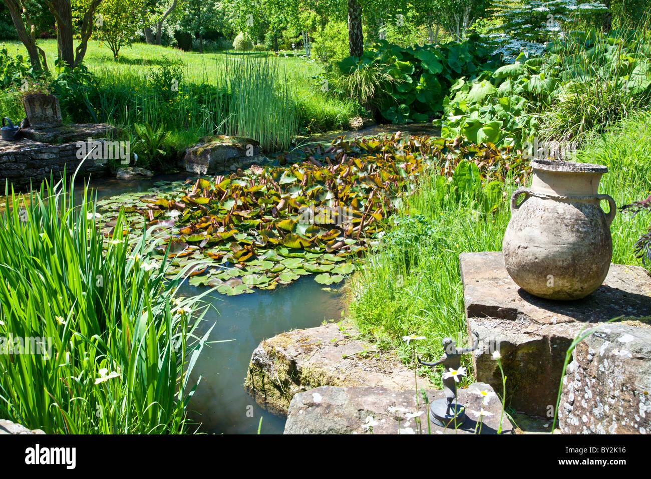 Ein kleiner Teich mit Wasser Seerosen und andere Wasserpflanzen und einer rustikalen Stein Urne in einem englischen Landhaus-Garten im Sommer Stockfoto