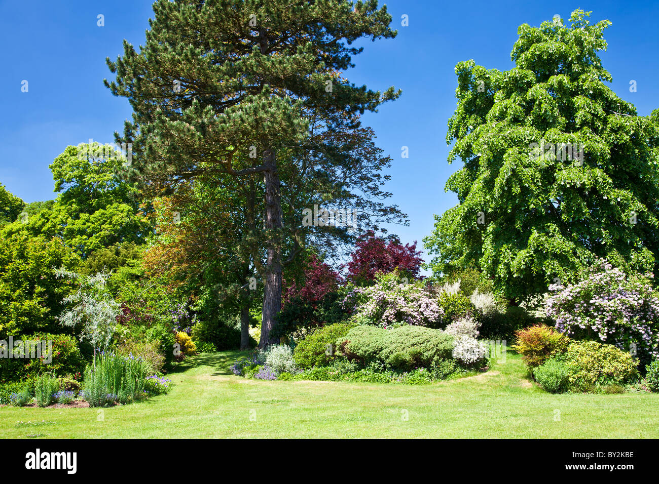 Strauchrabatten und Bäume in einem englischen Landhaus-Garten im Sommer Stockfoto