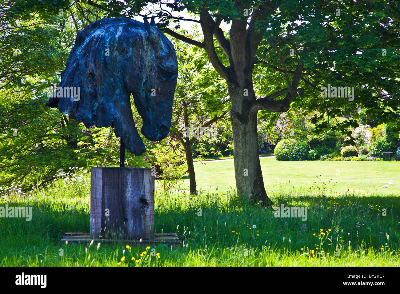 Ein moderner Garten Skulptur oder Kunst Werk eines Pferdekopfes in einer schattigen Ecke eines englischen Gartens im Sommer Stockfoto