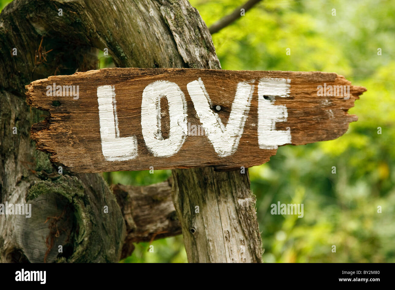 Ein Holz Schild mit dem Wort Liebe Stockfoto