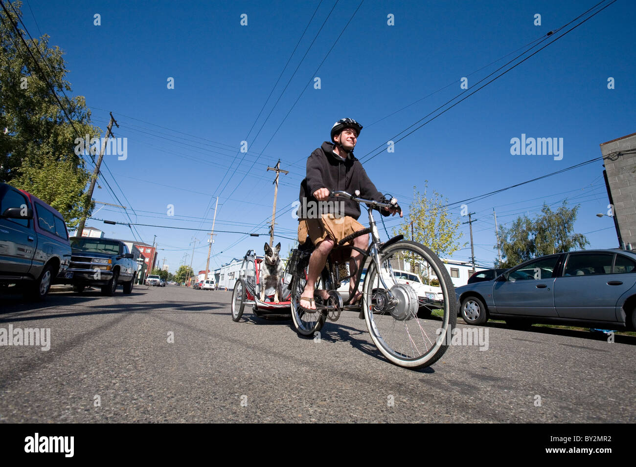 Radfahrer schleppt Hund im Fahrrad-Anhänger mit Elektro-Fahrrad. Stockfoto