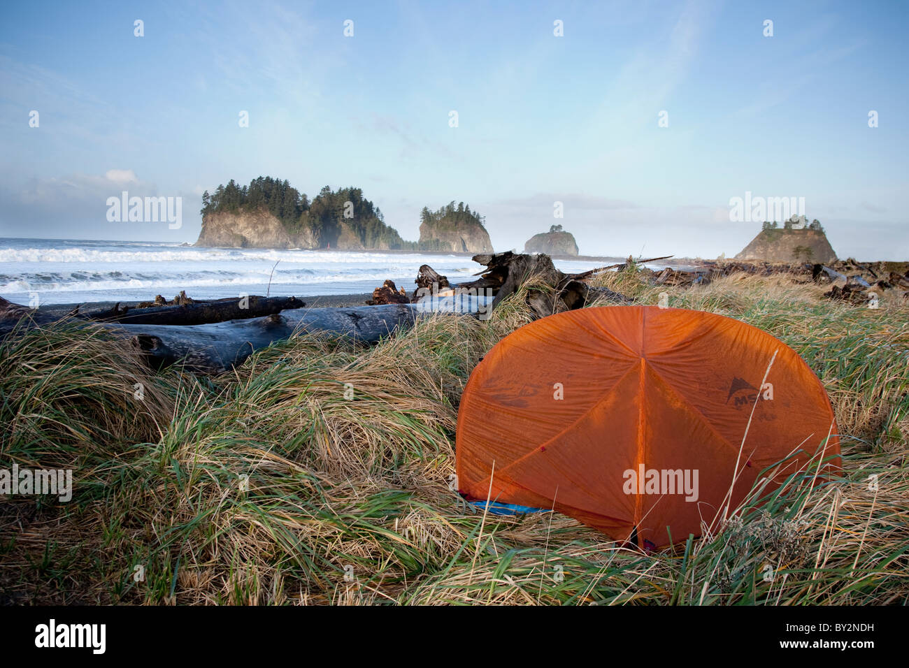 Eine orange Zelt befindet sich unter hohe Gräser und Meer-Stacks in der Ferne in der Nähe von La Push Washington. Stockfoto