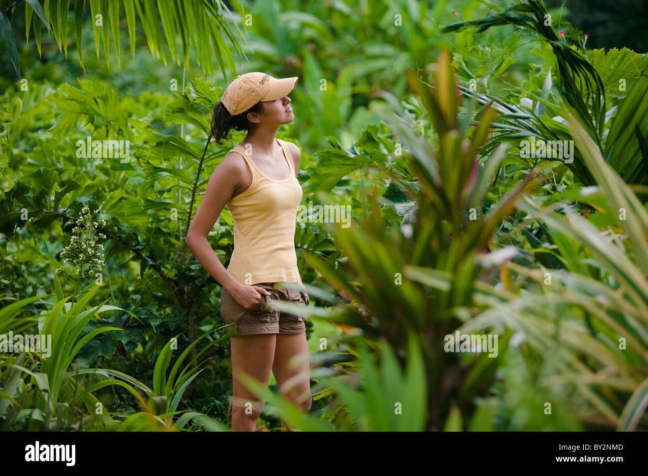 Eine Mädchen steht umgeben von Pflanzen auf einer Kaffeeplantage in Chiapas, Mexiko. Stockfoto