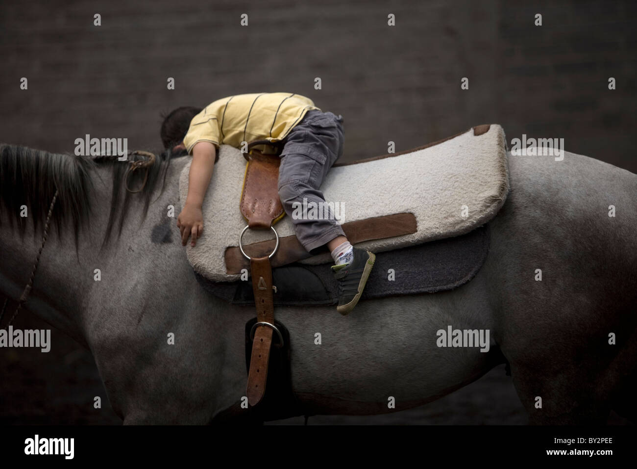 Ein Junge liegt auf dem Rücken eines Pferdes während seiner Horse-Therapie-Sitzung in Mexiko-Stadt Stockfoto