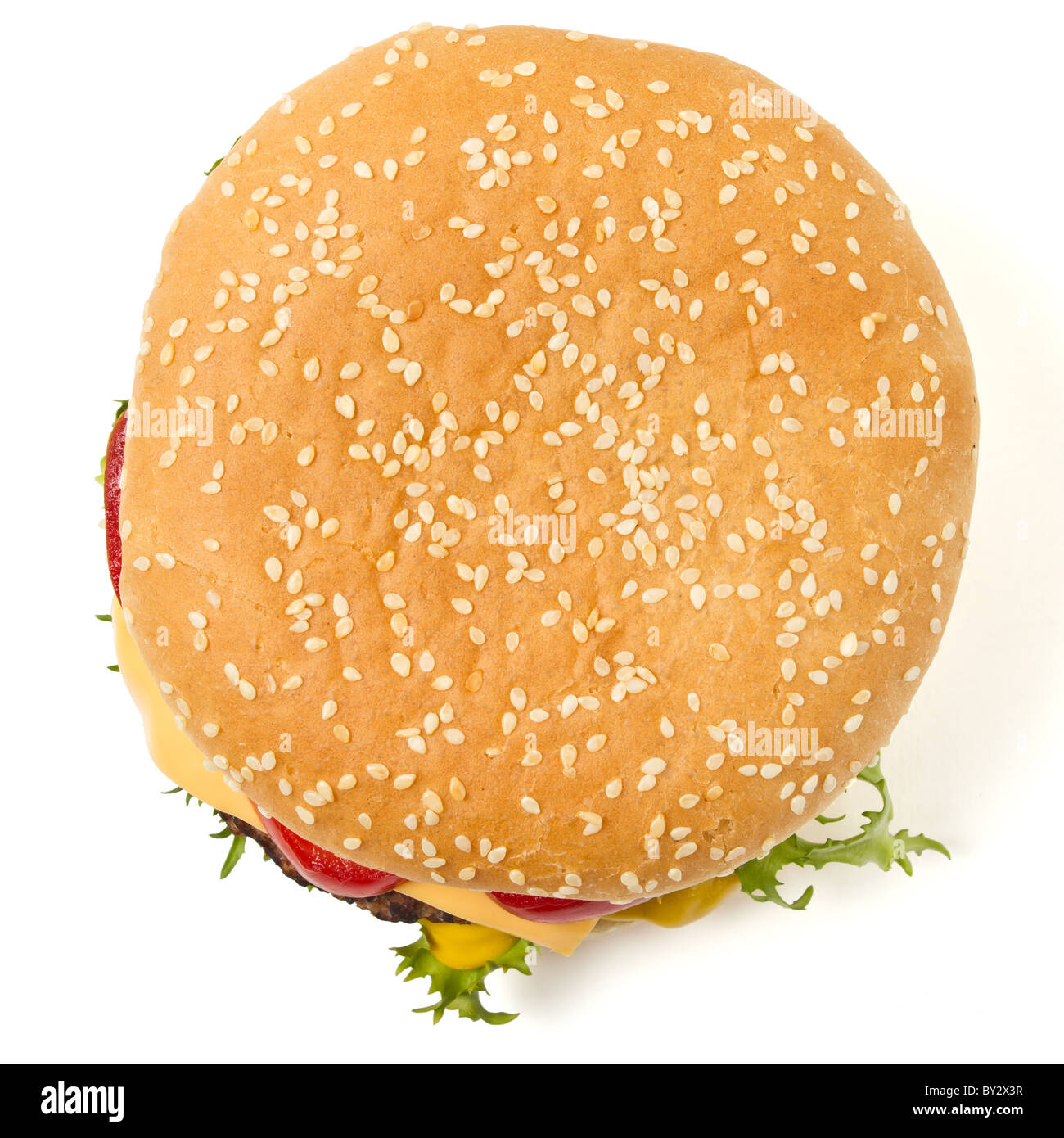 Cheeseburger und Senf in Sesam Brötchen isoliert auf weiss ausgesät. Stockfoto
