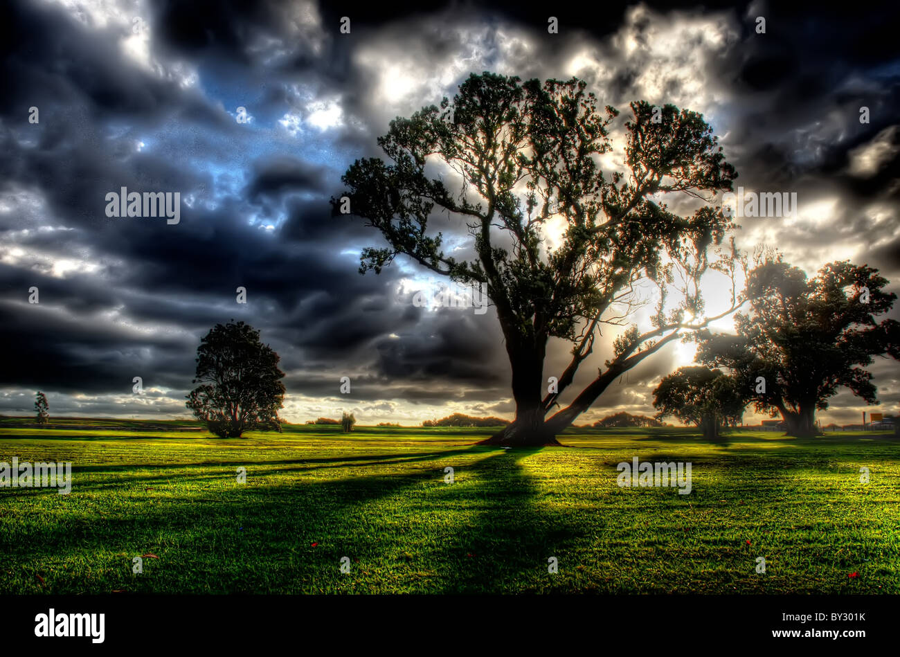 Ein einzelner Baum in dramatischen Ende Licht Stockfoto