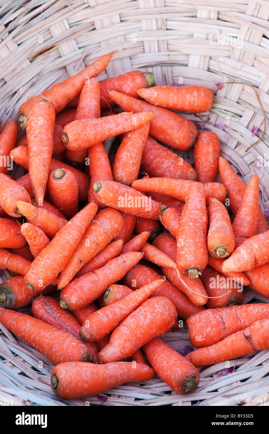 Korb mit Karotten an einem indischen Markt. Indien Stockfoto