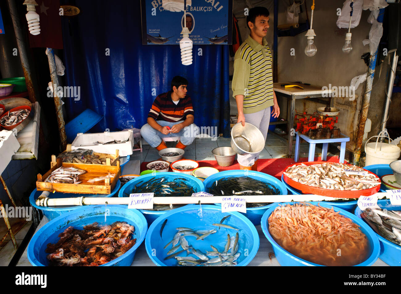 Karakoy Fish Market Seafood Display Istanbul // ISTANBUL, Türkei — Ein Händler stellt frischen Fisch und Garnelen in Kübeln zum Verkauf auf dem Karakoy Fish Market in der Nähe der Galata Brücke in Istanbuls historischem Uferviertel vor. Der traditionelle Markt serviert sowohl lokale Kunden als auch Restaurants, die täglich Fänge vom Bosporus und dem Schwarzen Meer anbieten. Stockfoto