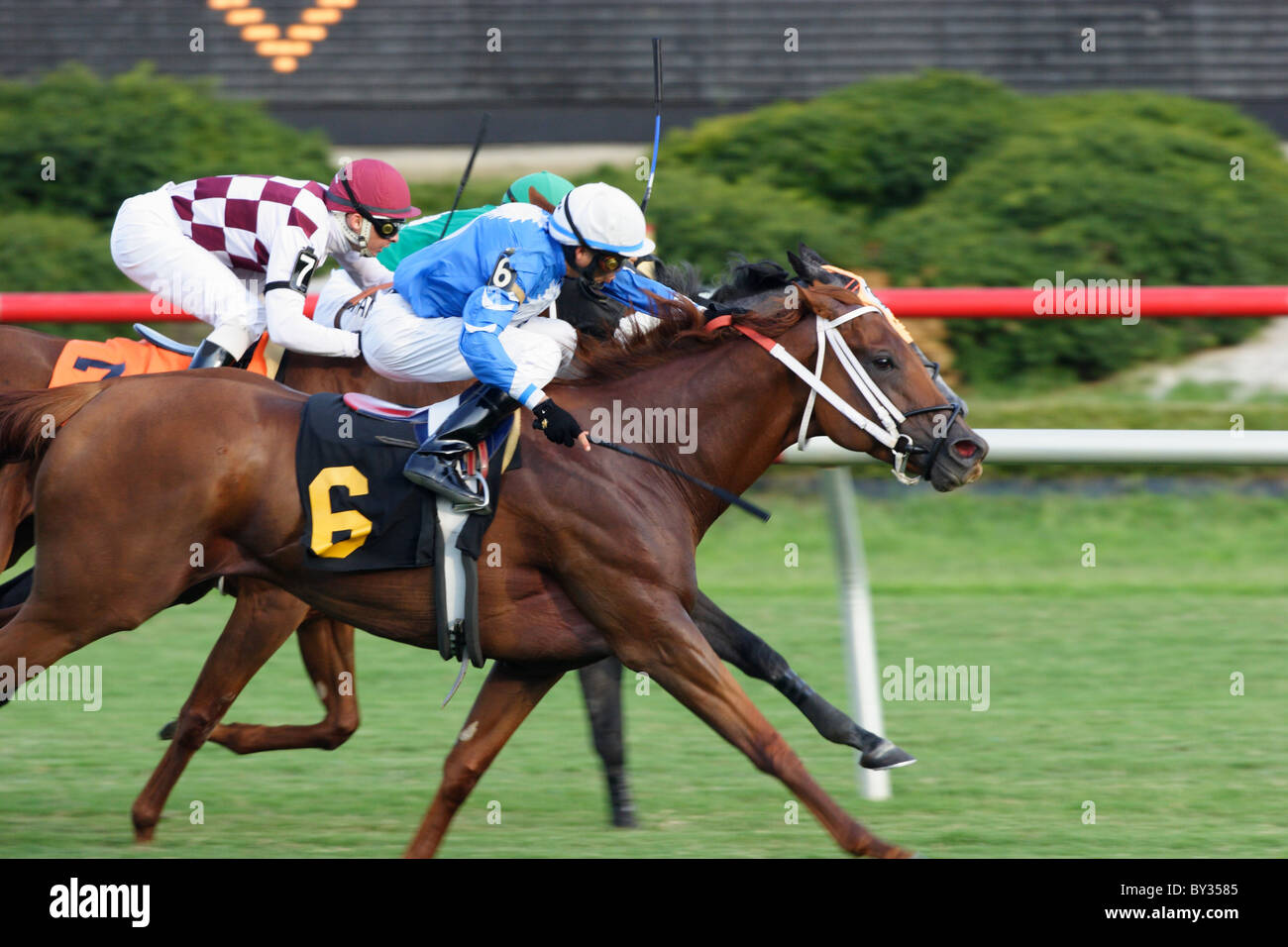 Jockeys Rennen bis zur Ziellinie auf der Colonial Downs Rennbahn, Virginia, USA 2010 Stockfoto