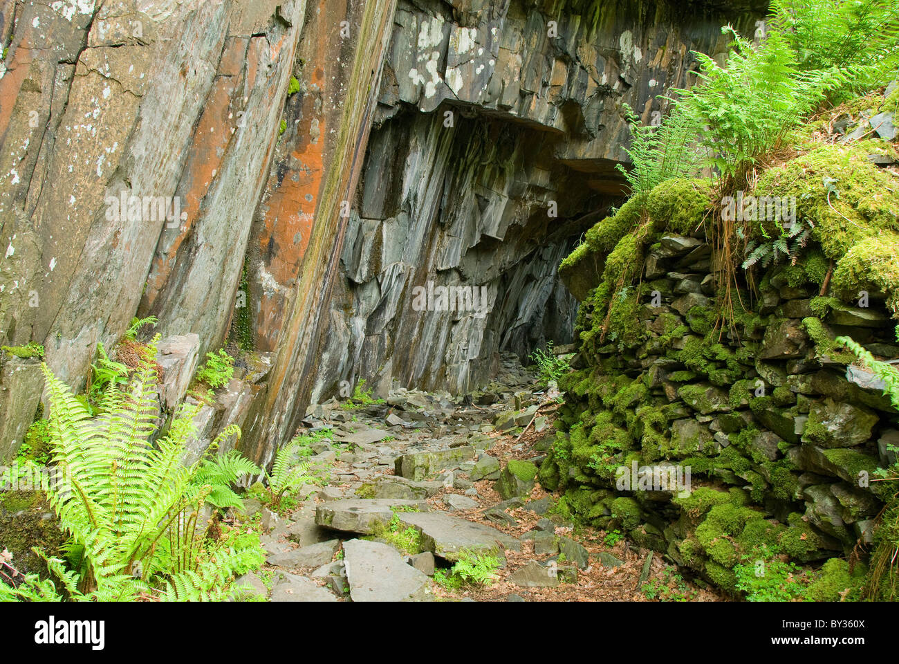 Höhle Eingang, Nationalpark Lake District, Cumbria, England, UK Stockfoto