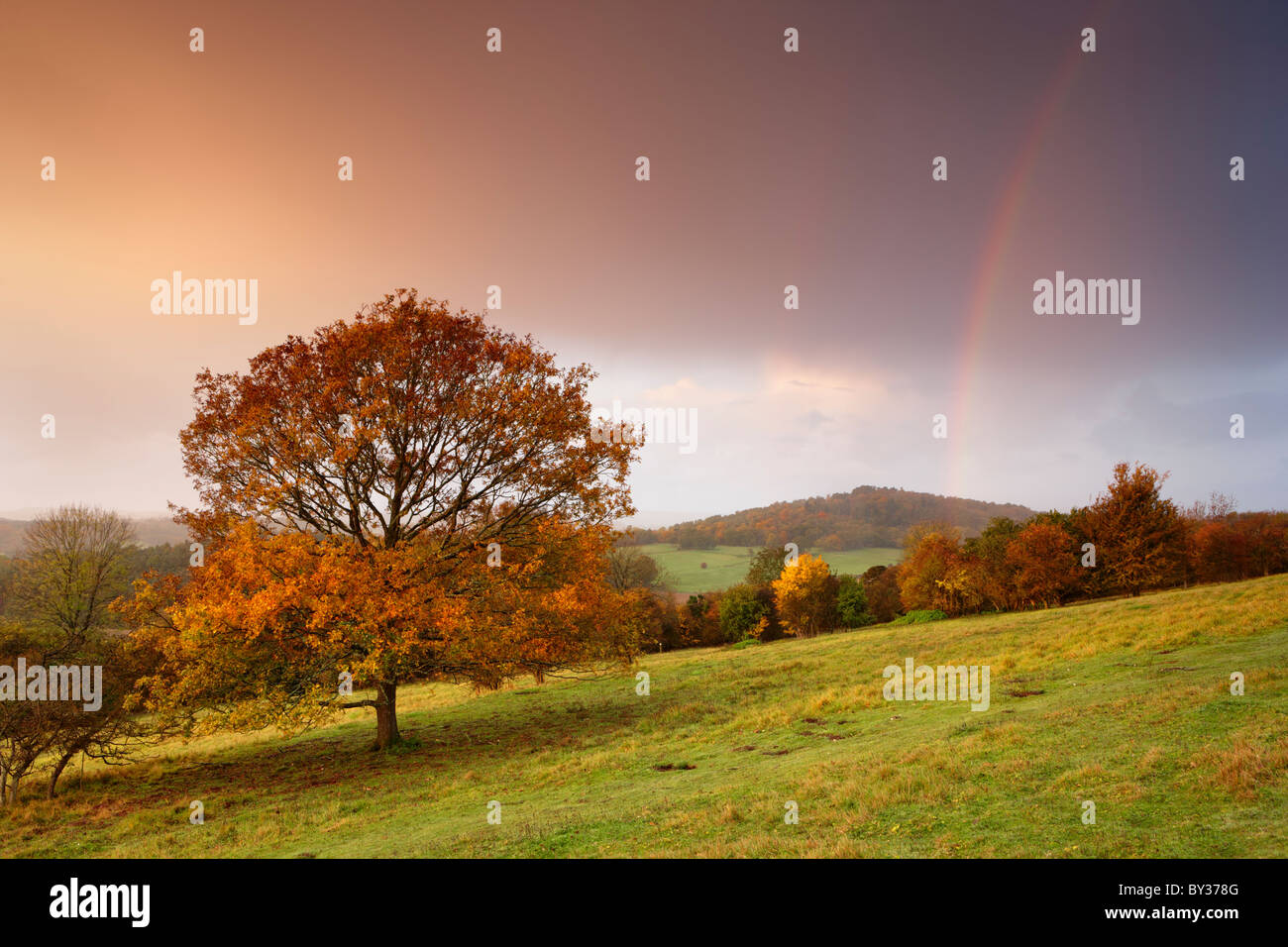 Herbst Farben decken die Bäume, der Himmel füllt sich mit Farbe von der aufgehenden Sonne wie Regenschauer über Kopf passieren und einen Regenbogen zu erstellen. Stockfoto