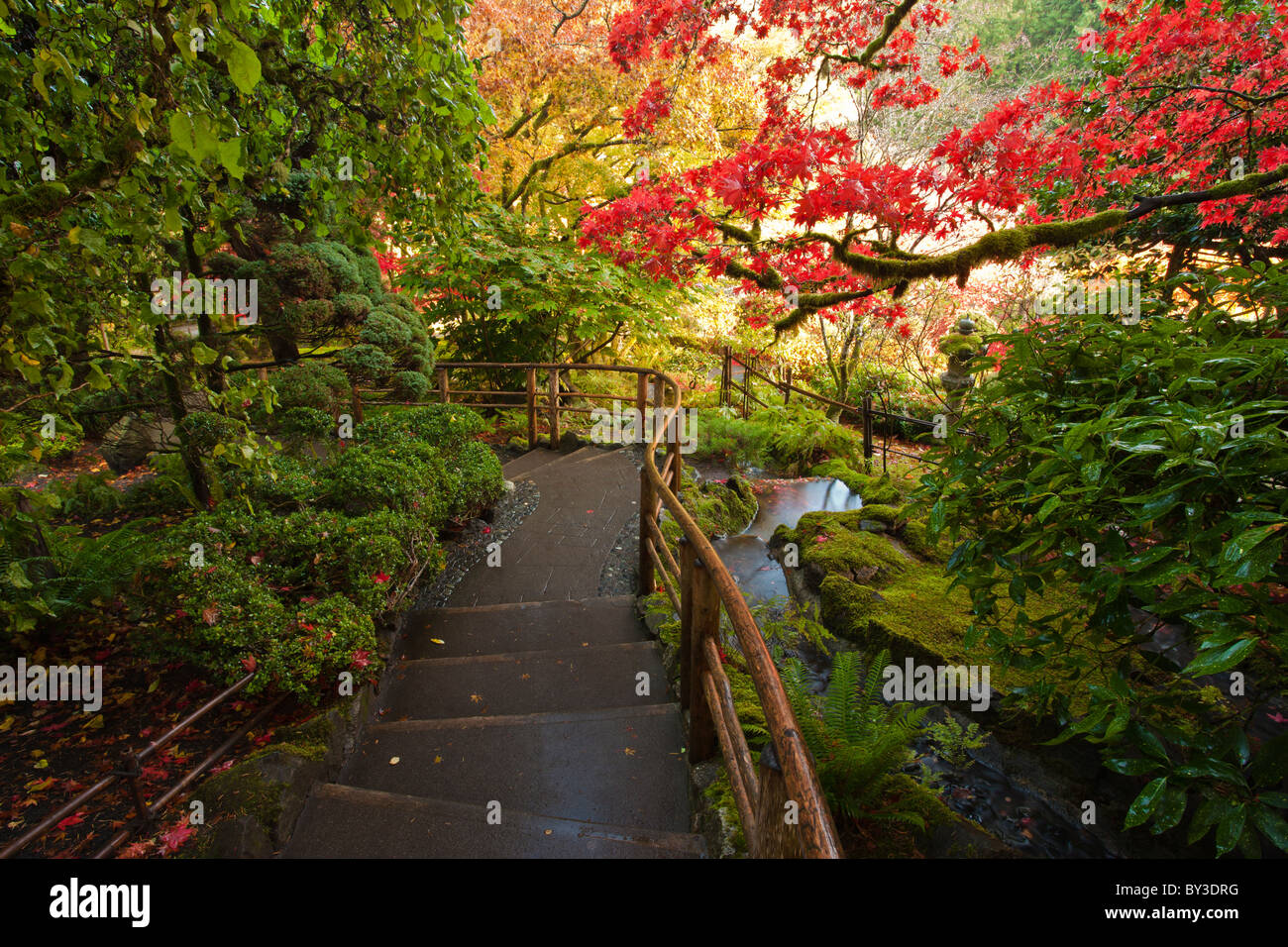 Japanischer Garten Teil der Butchart Gardens in Herbst-Victoria, British Columbia, Kanada. Stockfoto