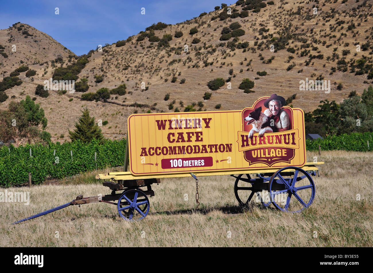 Hurunui Weingut & Cafe anmelden, Karaka Road, Hurunui, North Canterbury, Region Canterbury, Südinsel, Neuseeland Stockfoto