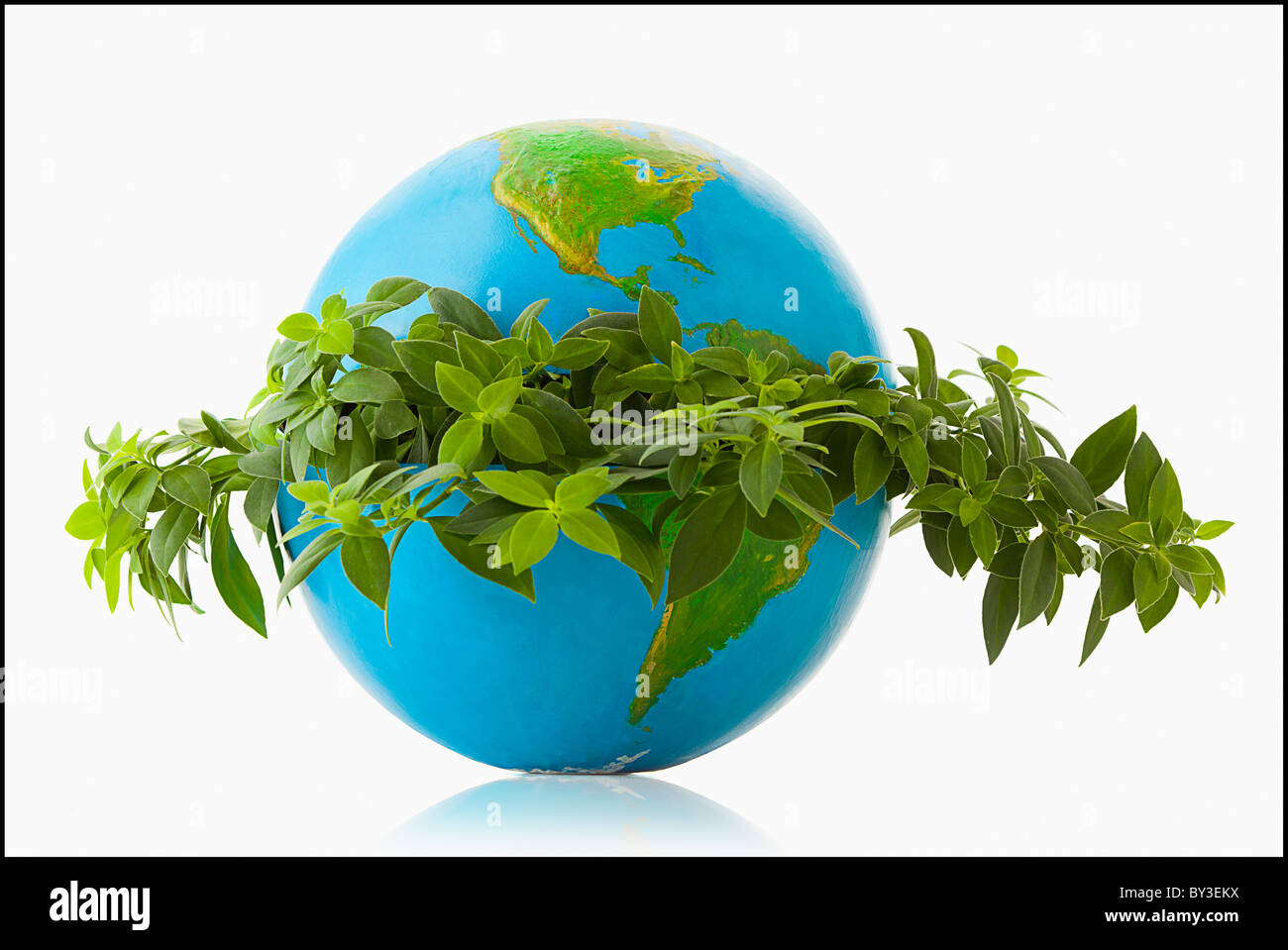 Globus im Kranz der frischen Blätter Stockfoto