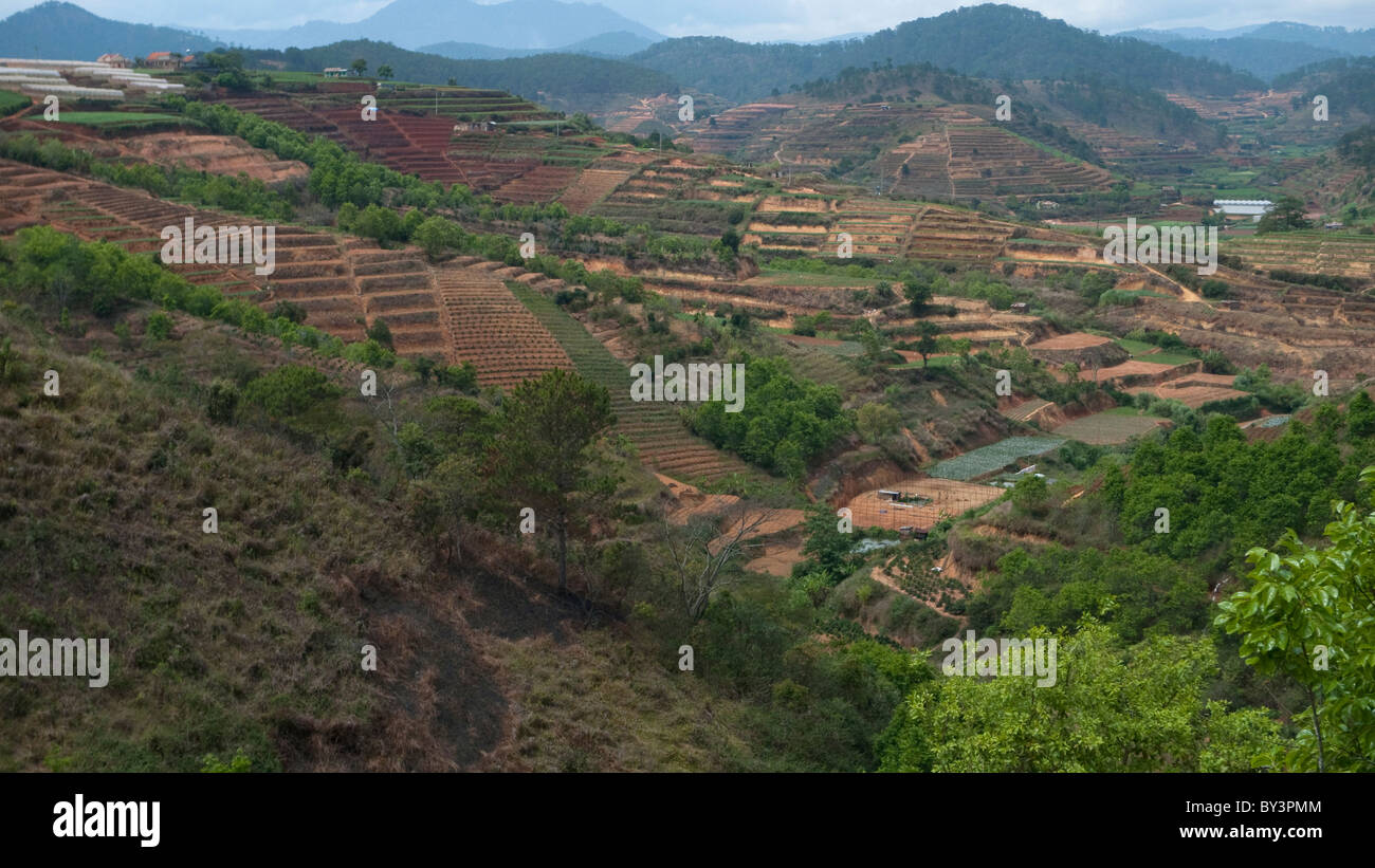 Typische Landschaft in der Nähe von Dalat, Hue, Vietnam, Indochina, Südostasien, Asien Stockfoto