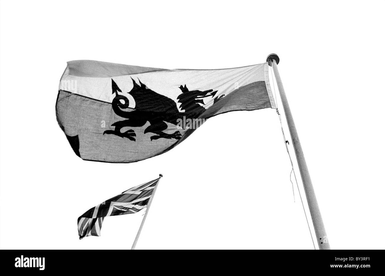 Walisische Flagge und Union Jack. Stockfoto