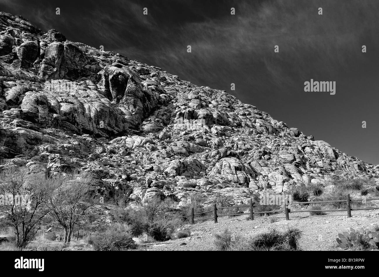 Red Spring Park, Calico Becken, Nevada Landschaft Stockfoto