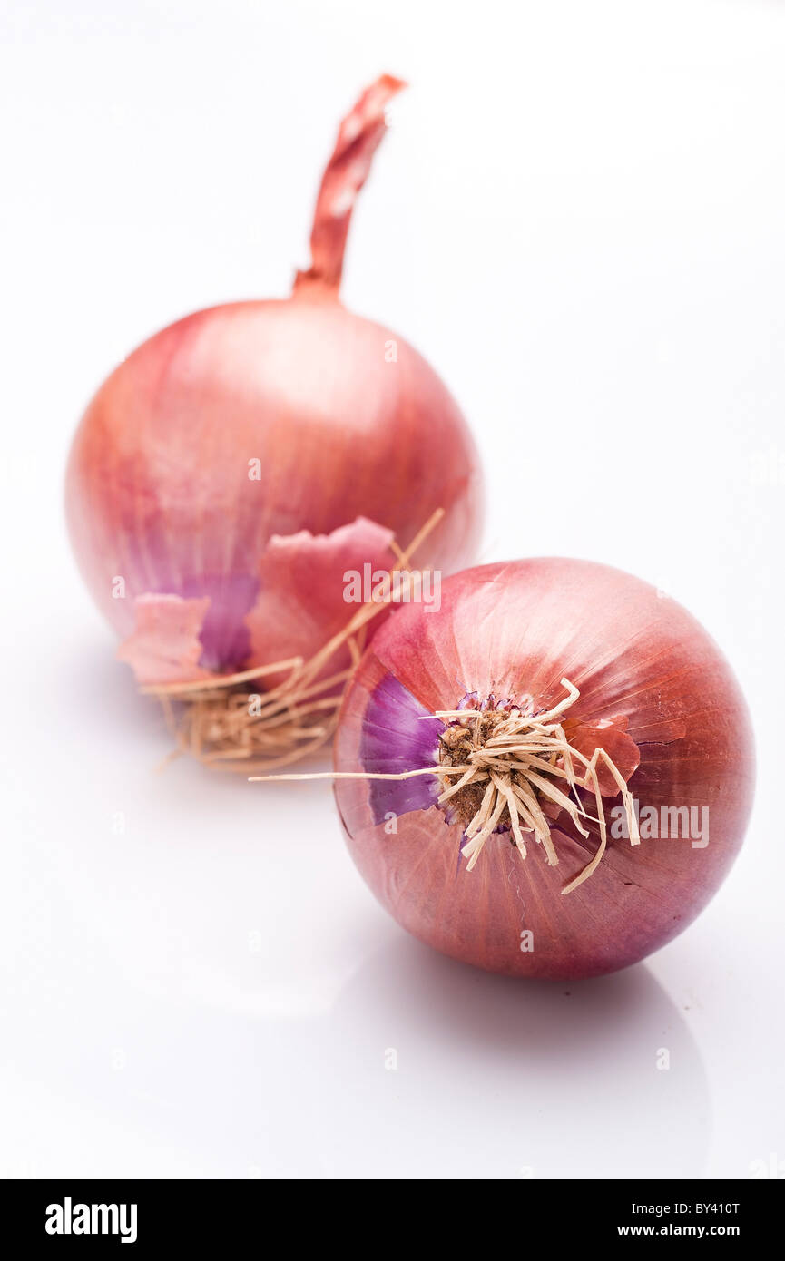 Ganze Zwiebel (lila) auf weißem Hintergrund Stockfoto