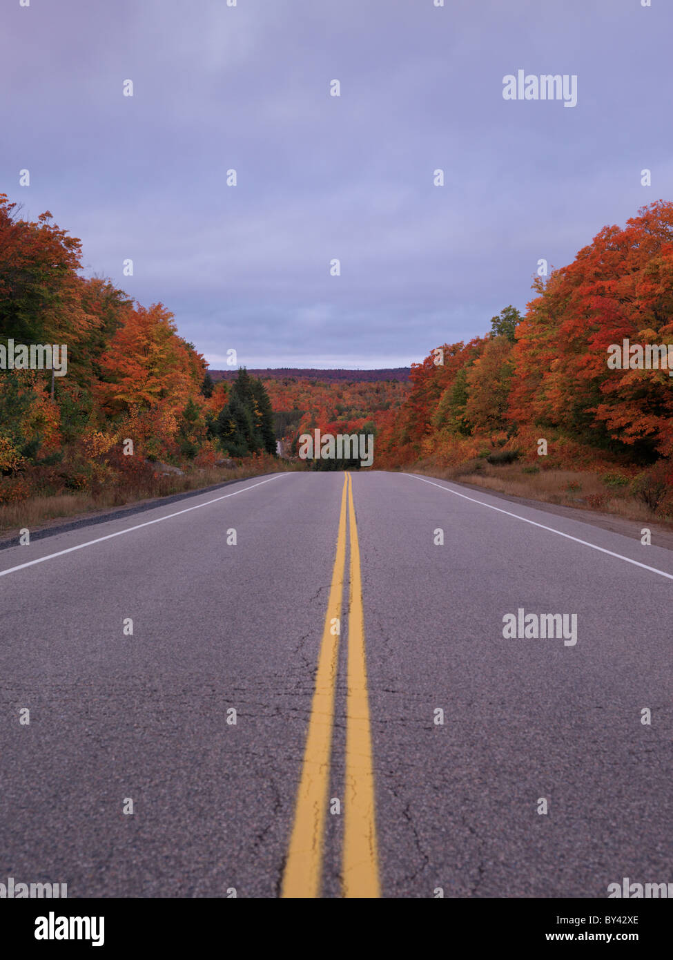 Autobahn durch die schönen bunten Herbst Natur Landschaft. Algonquin Provincial Park, Ontario, Kanada. Stockfoto