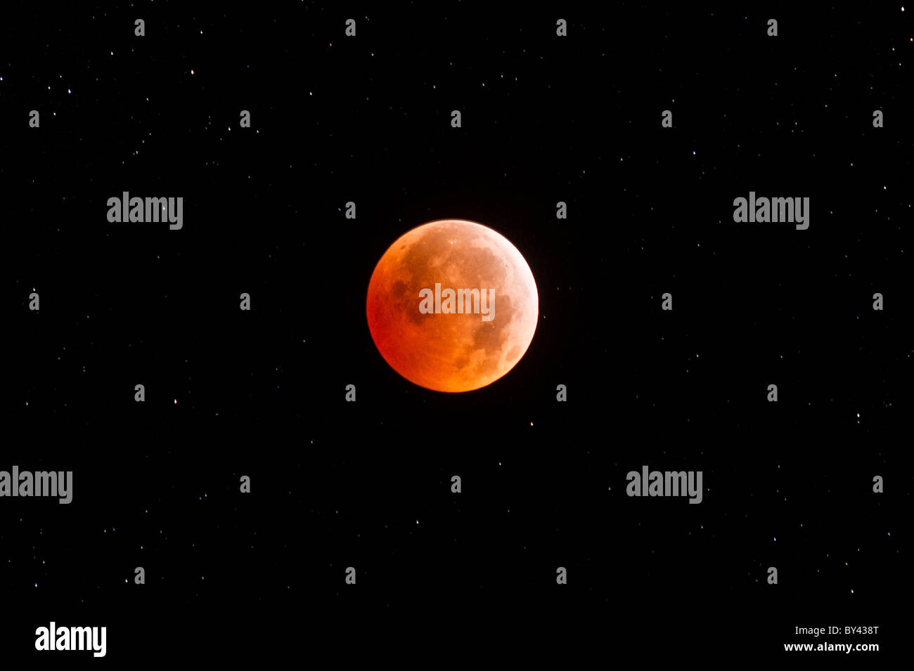 Lunar Eclipse-21.12.2010 Stockfoto