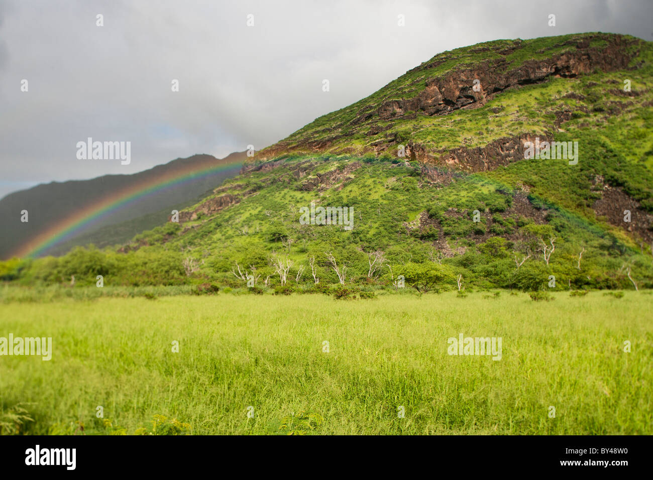 Regenbogen über einer Wiese in Oahu, Hawaii. Stockfoto