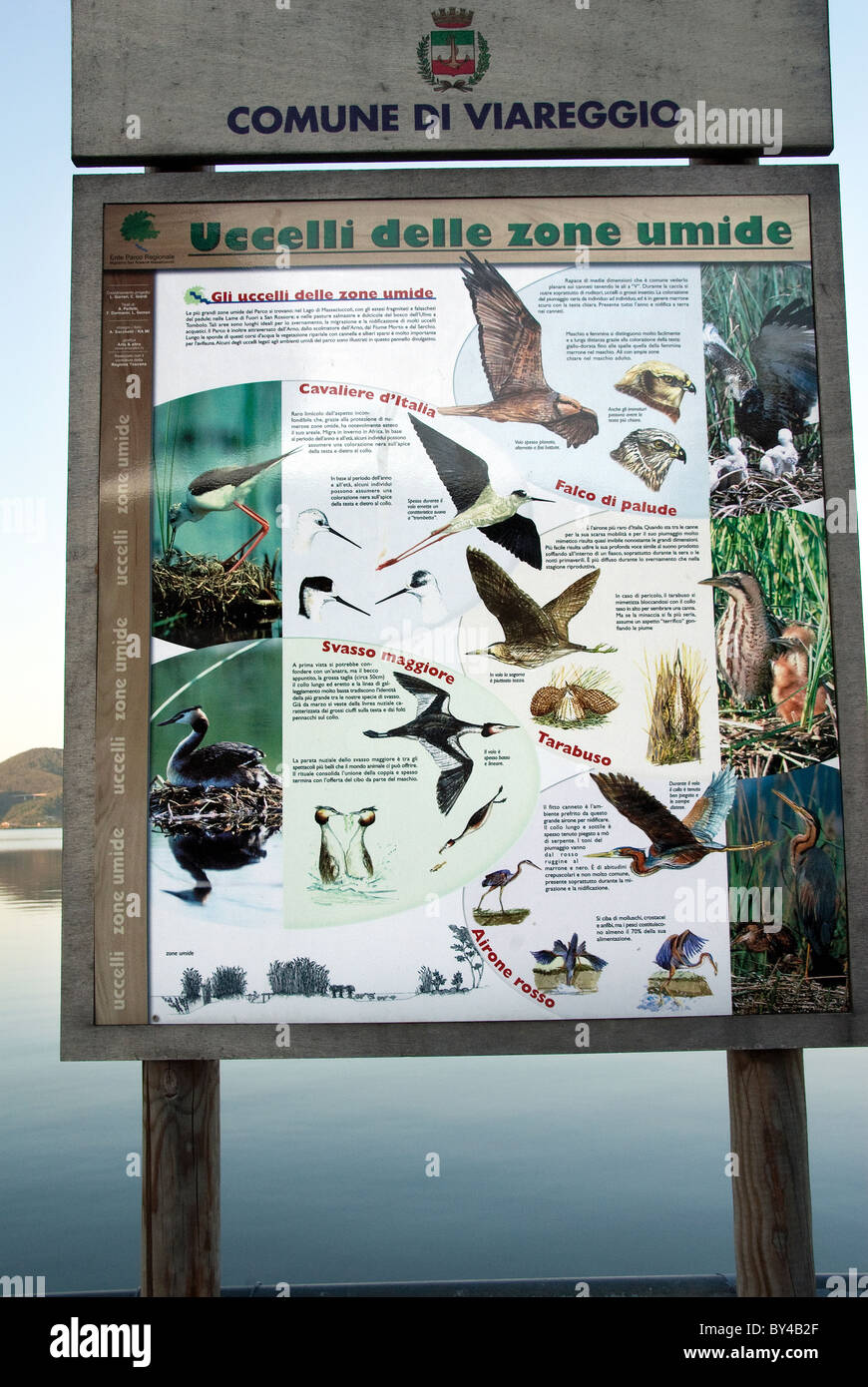 Zeichen, die Identifizierung von Birdlife auf dem See Lago di Massaciuccoli, in Torre del Lago Puccini in der Nähe von Viareggio, Toskana, Italien Stockfoto