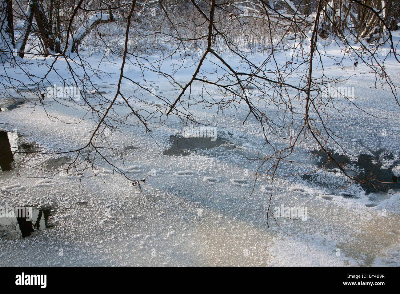Verschneite teilweise zugefrorenen Fluss im Dezember mit Zweige hängen über Stockfoto