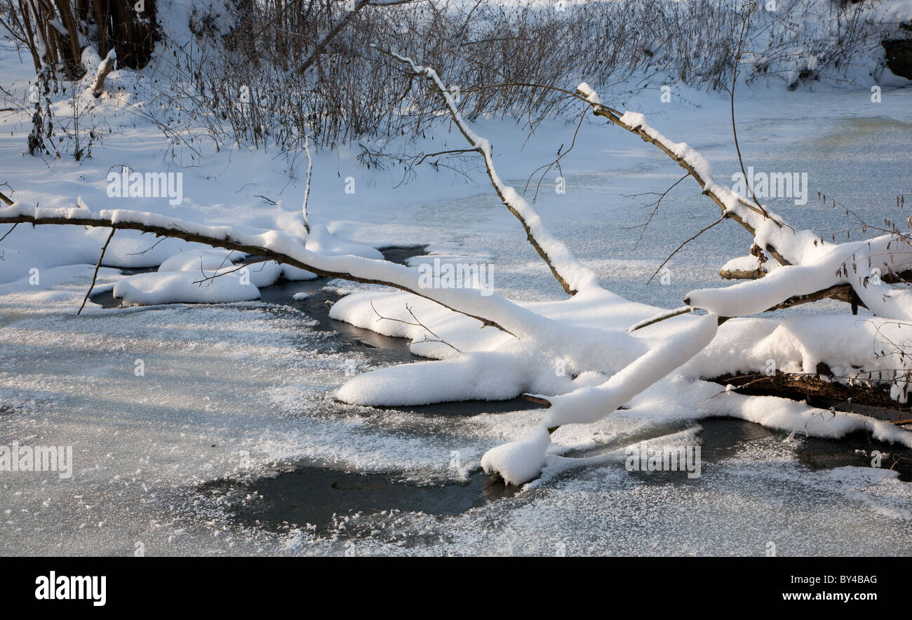 Verschneite teilweise zugefrorenen Fluss im Dezember mit gebrochenen Erlen liegend Stockfoto