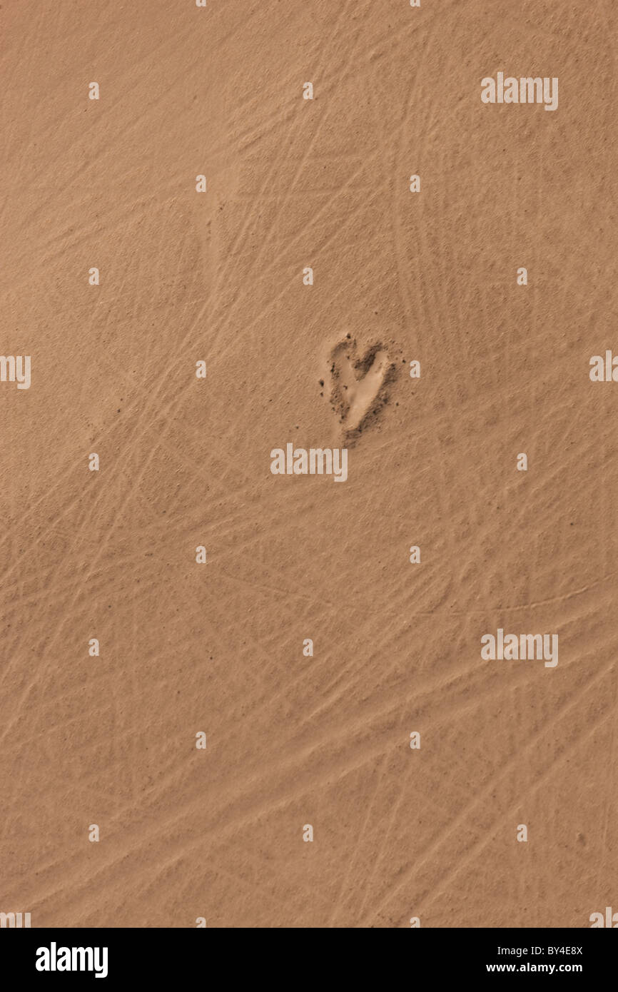 Herz in der Wüste, Namibia, Namib-Wüste, Luftbild Stockfoto
