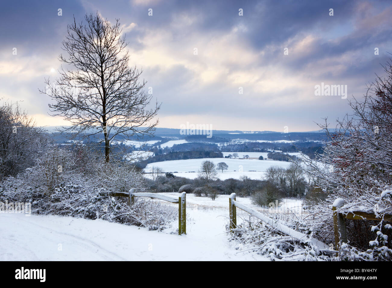 Die Sonne beginnt zu brechen durch die Wolke an einem kalten winterlichen Morgen in Newlands Ecke auf den Albury Downs Stockfoto