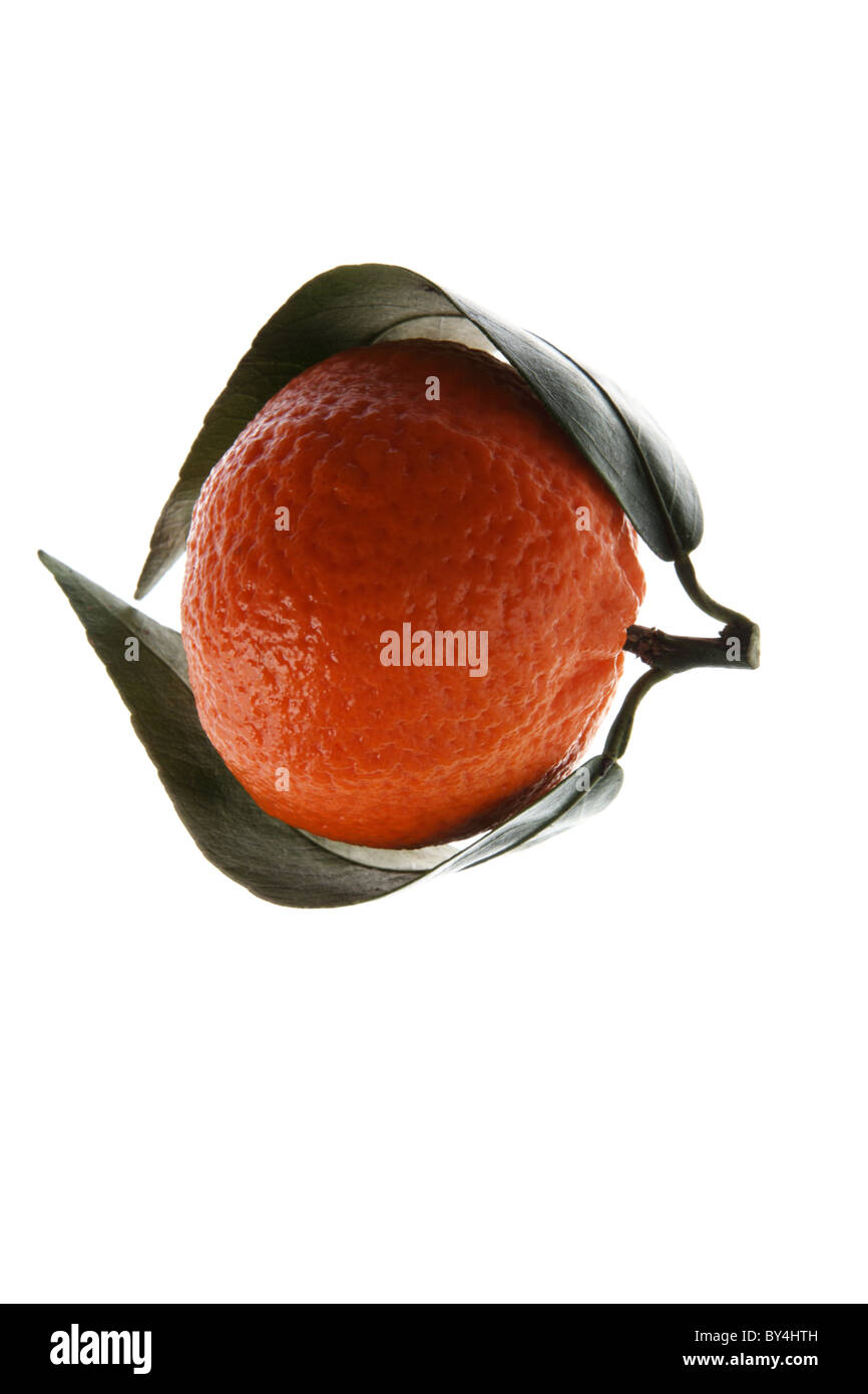 Orangen Stockfoto