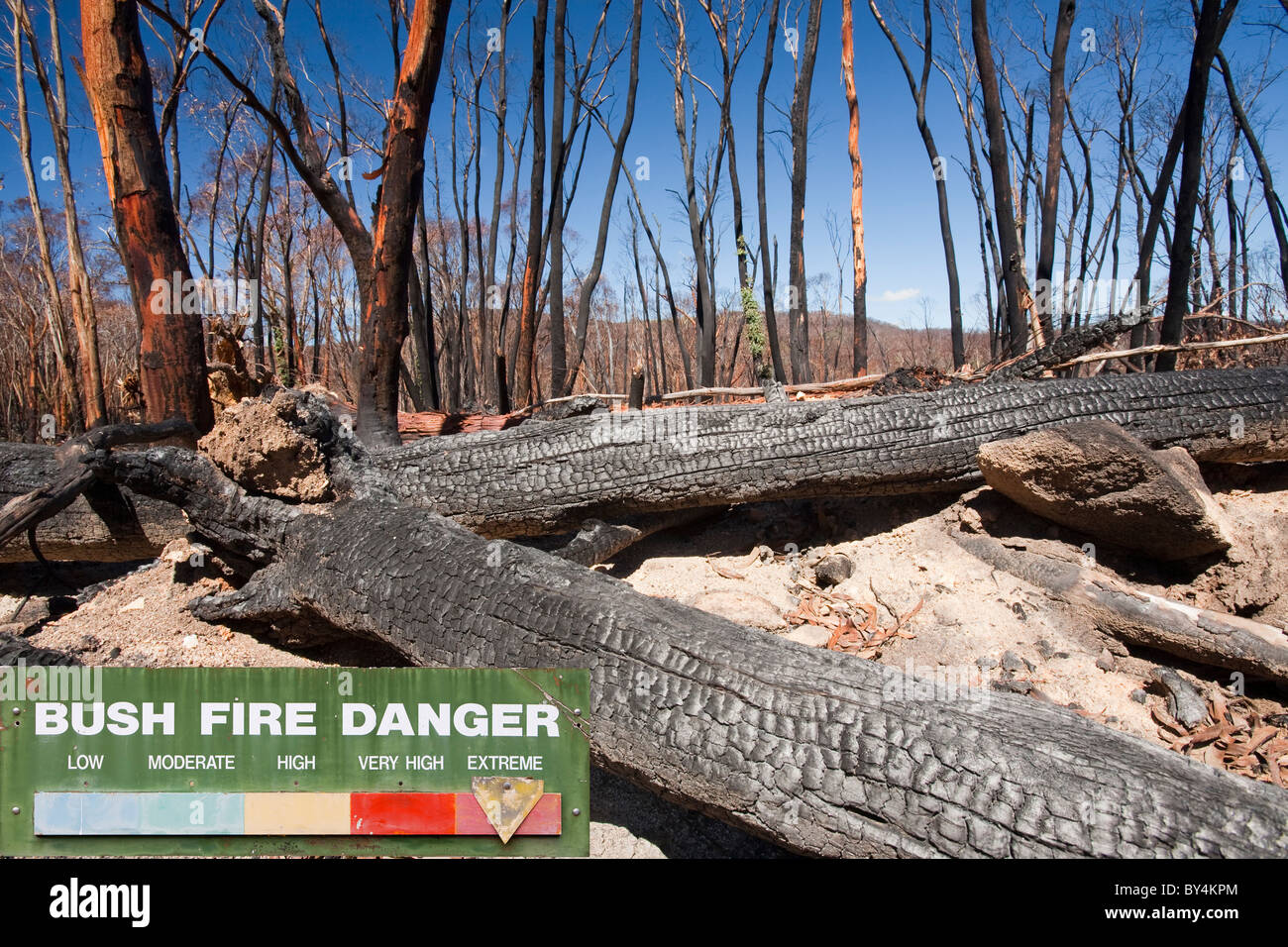 Wald im Dezember 2009 durch Buschfeuer in der Nähe von Michelago, New South Wales, Australien, zerstört. Stockfoto