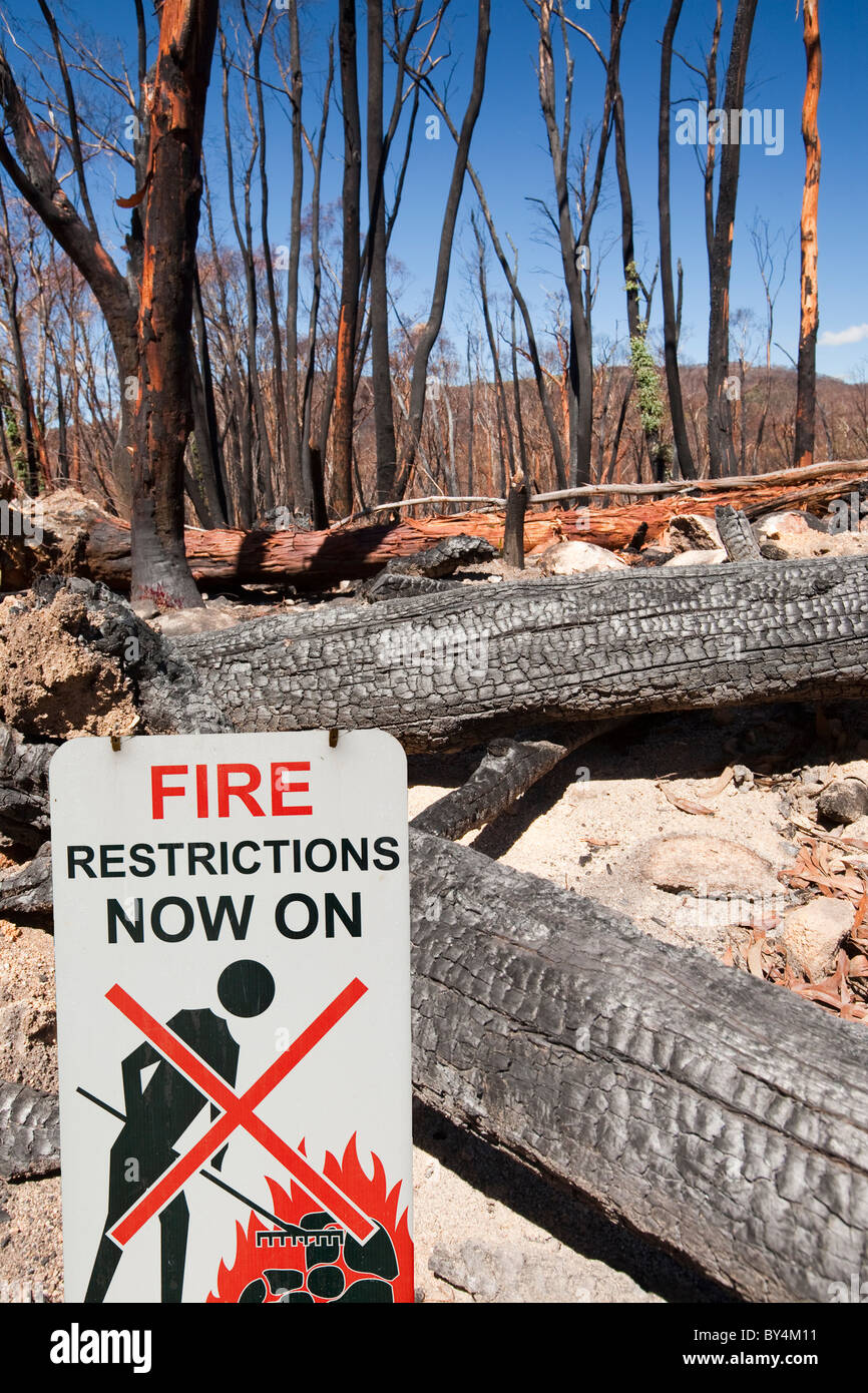 Wald im Dezember 2009 durch Buschfeuer in der Nähe von Michelago, New South Wales, Australien, zerstört. Stockfoto