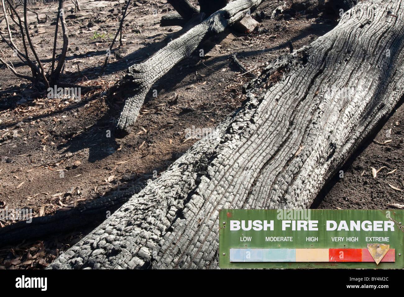 Wald im Dezember 2009 durch Buschfeuer in der Nähe von Michelago, New South Wales, Australien, zerstört. Stockfoto