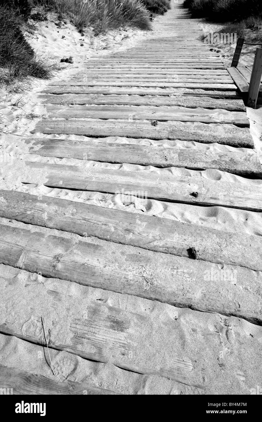 Einen langen gewundenen Weg von Platten und Holzplatten in den Sand führt weit in der Ferne gemacht Stockfoto