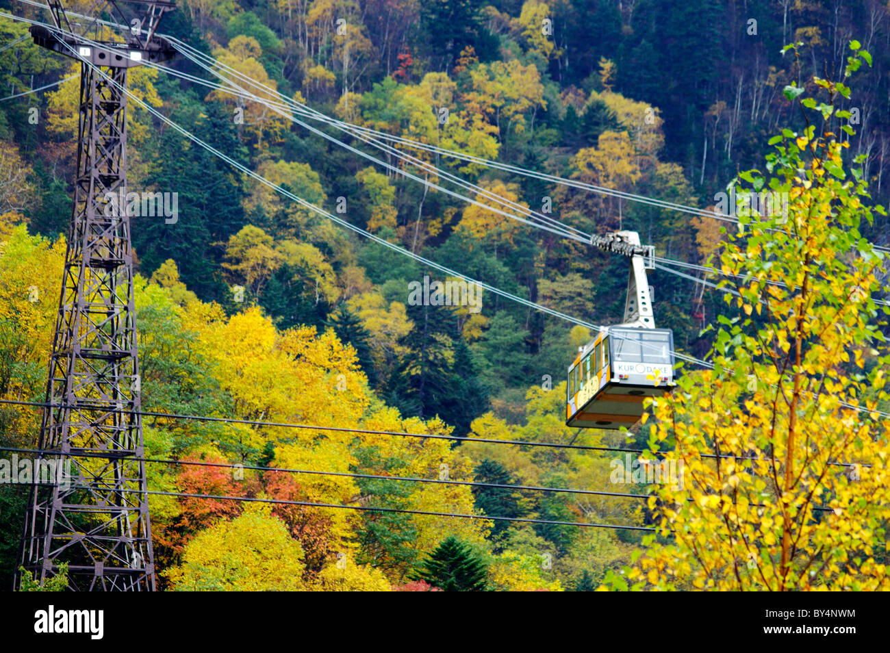 Overhead Cable Car im Herbst Stockfoto