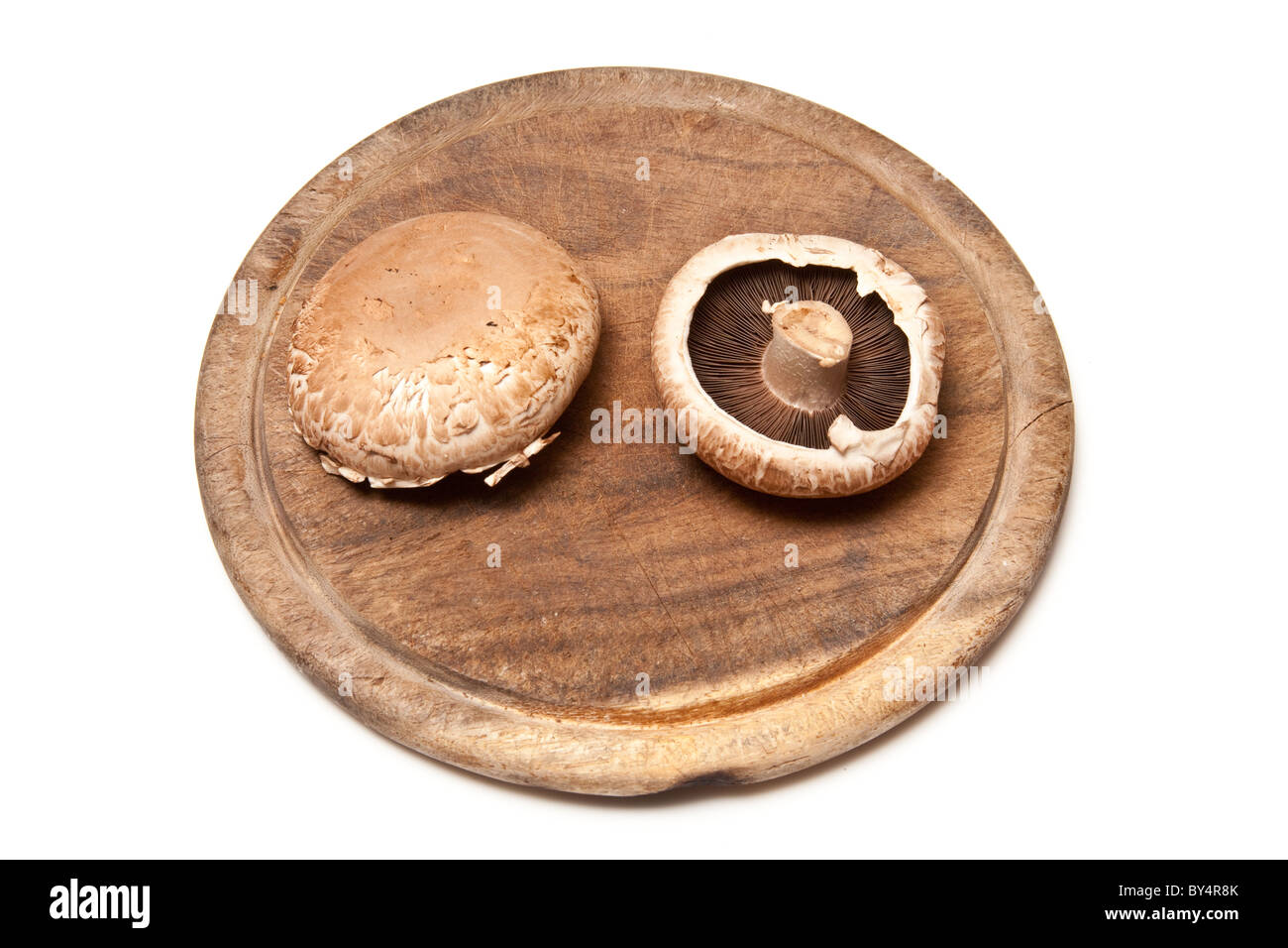 Portobello-Pilze auf ein Schneidbrett aus Holz isoliert auf einem weißen Studio-Hintergrund. Stockfoto