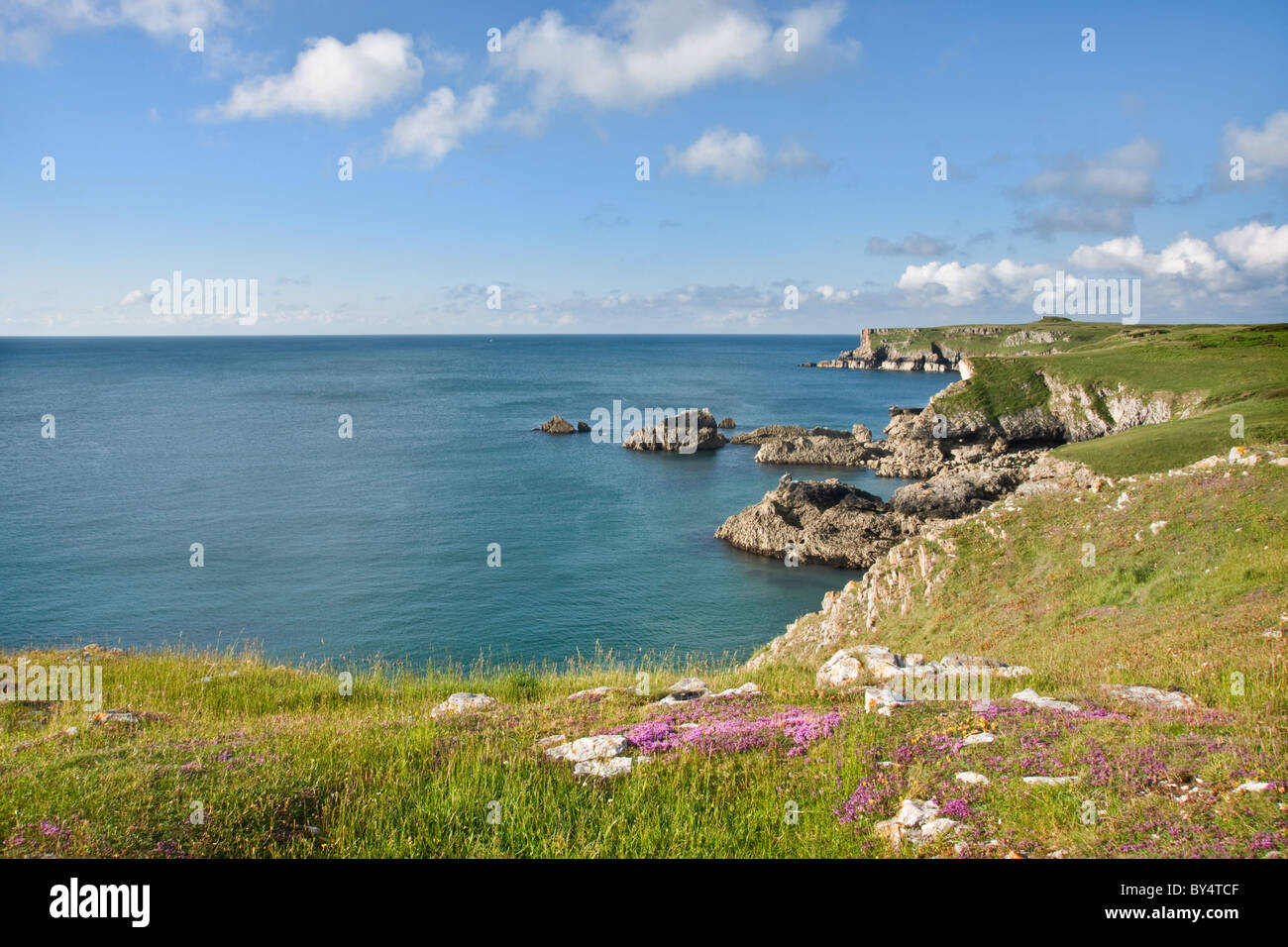 Küstenlandschaft in der Nähe von breiten Haven Süd, Pembrokeshire Stockfoto