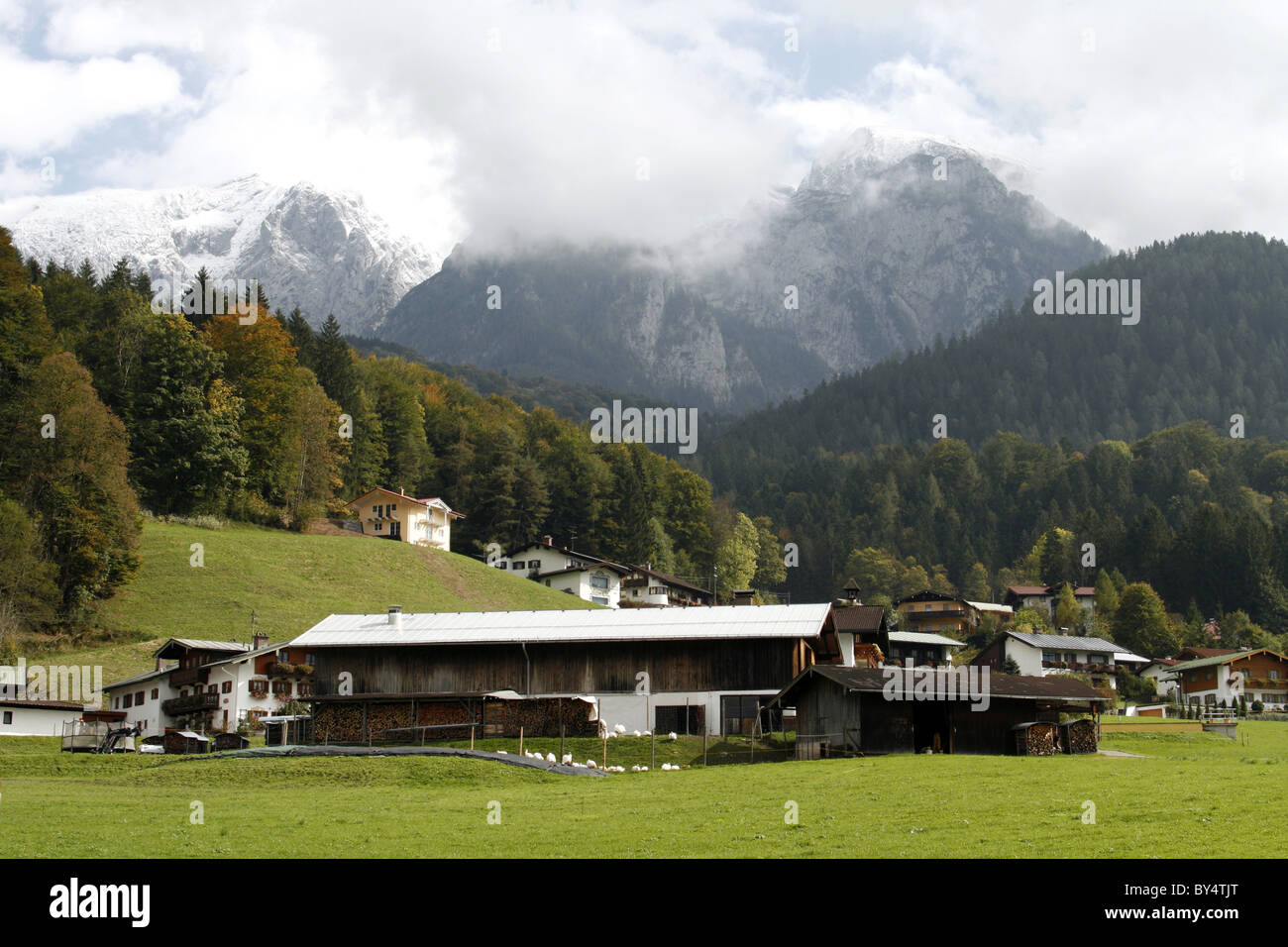 Deutschland Bayern Berchtesgadener Land Bayerischer Hof durch die Info Kühe Berge Stockfoto