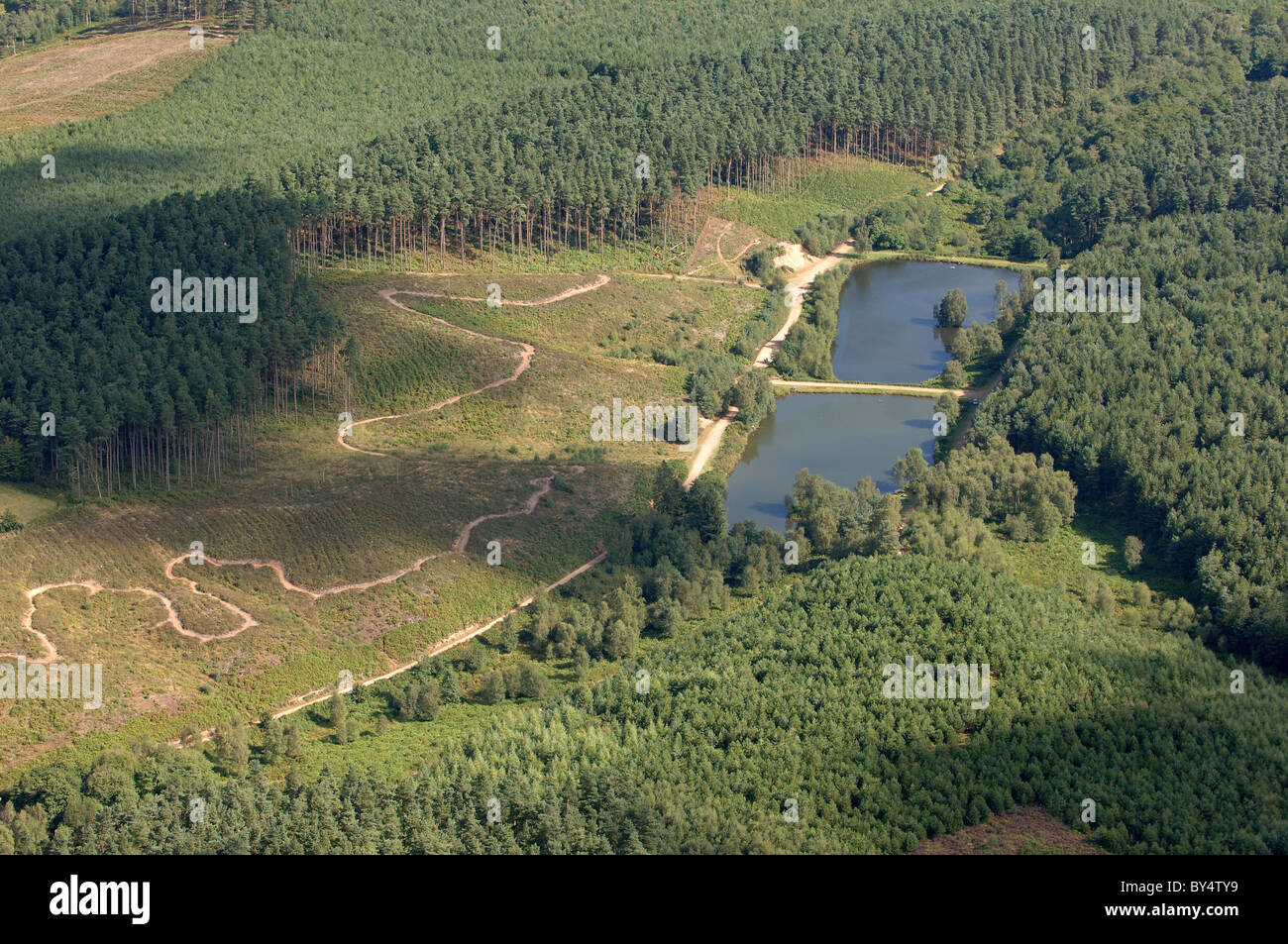 Eine Luftaufnahme des Fairoak Pools auf Wald und Waldland Großbritannien Cannock Chase Stockfoto