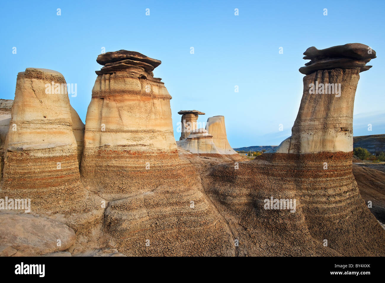 Hoodoos, Felsformationen in den Alberta Badlands, Drumheller, Alberta, Kanada. Stockfoto