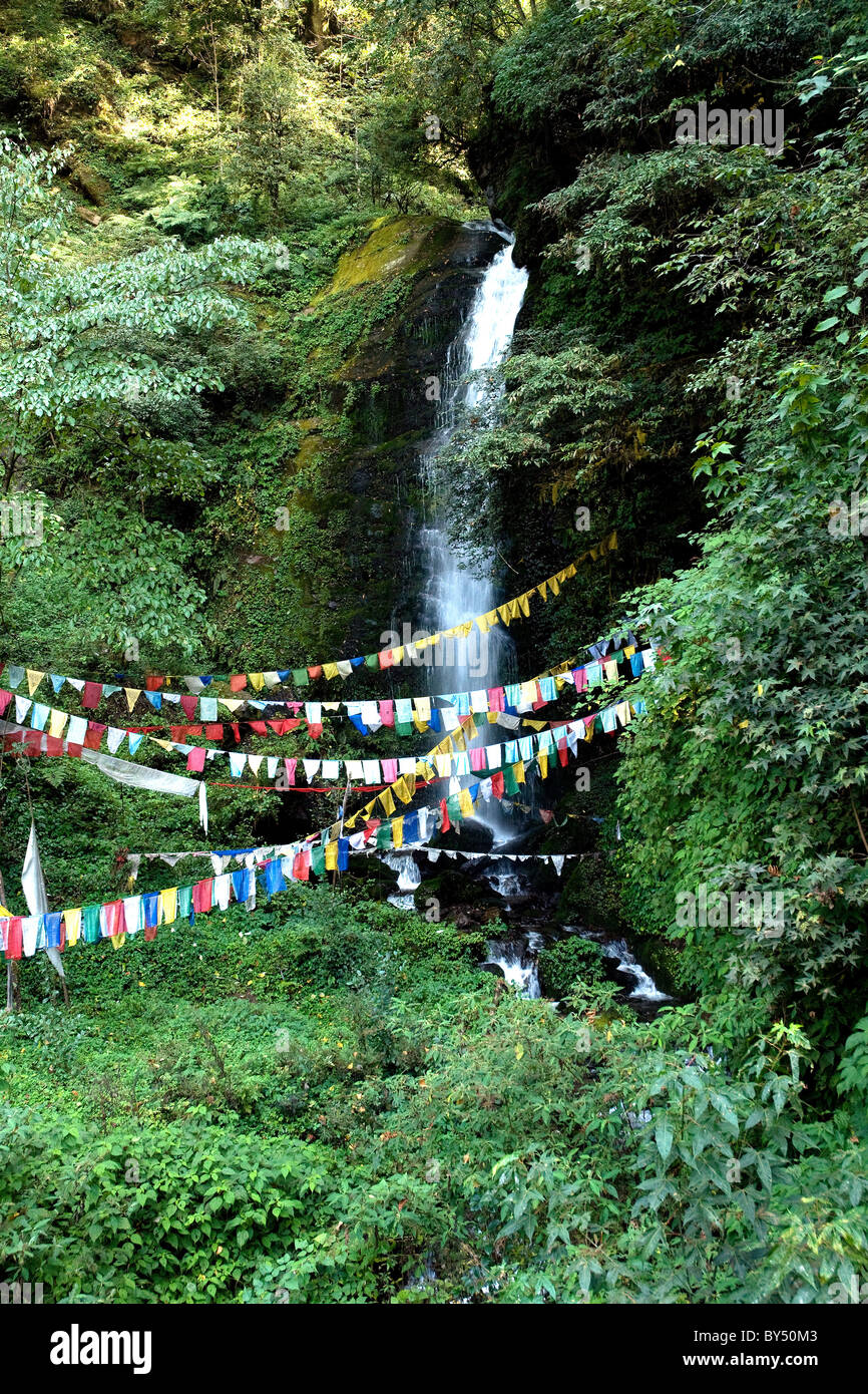 Gebetsfahnen flattern in der Nähe von einem am Straßenrand Wasserfall in einem Wald von Bhutan Stockfoto