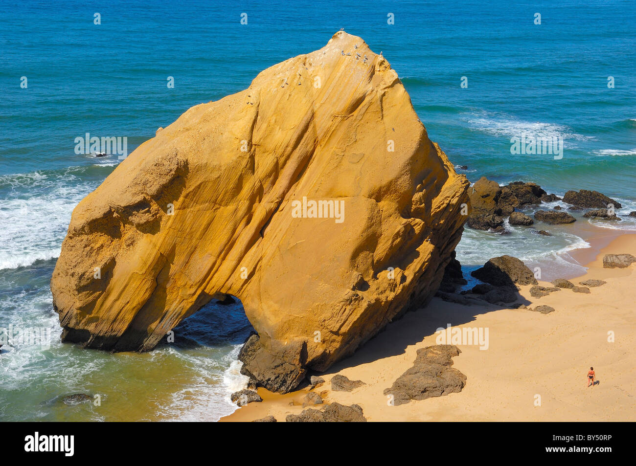 Santacruz, Praia Formosa, Torres Vedras, Portugal, Europa Stockfoto