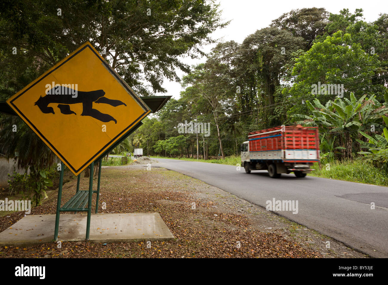 Faultier Crossing Zeichen entlang Landstraße 36 außerhalb der Refugio Aviarios del Caribe Sloth Sanctuary und Rescue Center in Cahuita, Costa Rica. Stockfoto