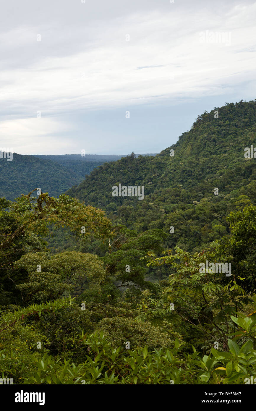 Tropischer Regenwald und Nebelwald umfassen den Braulio Carrillo Nationalpark in Provinz Heredia, Costa Rica. Stockfoto