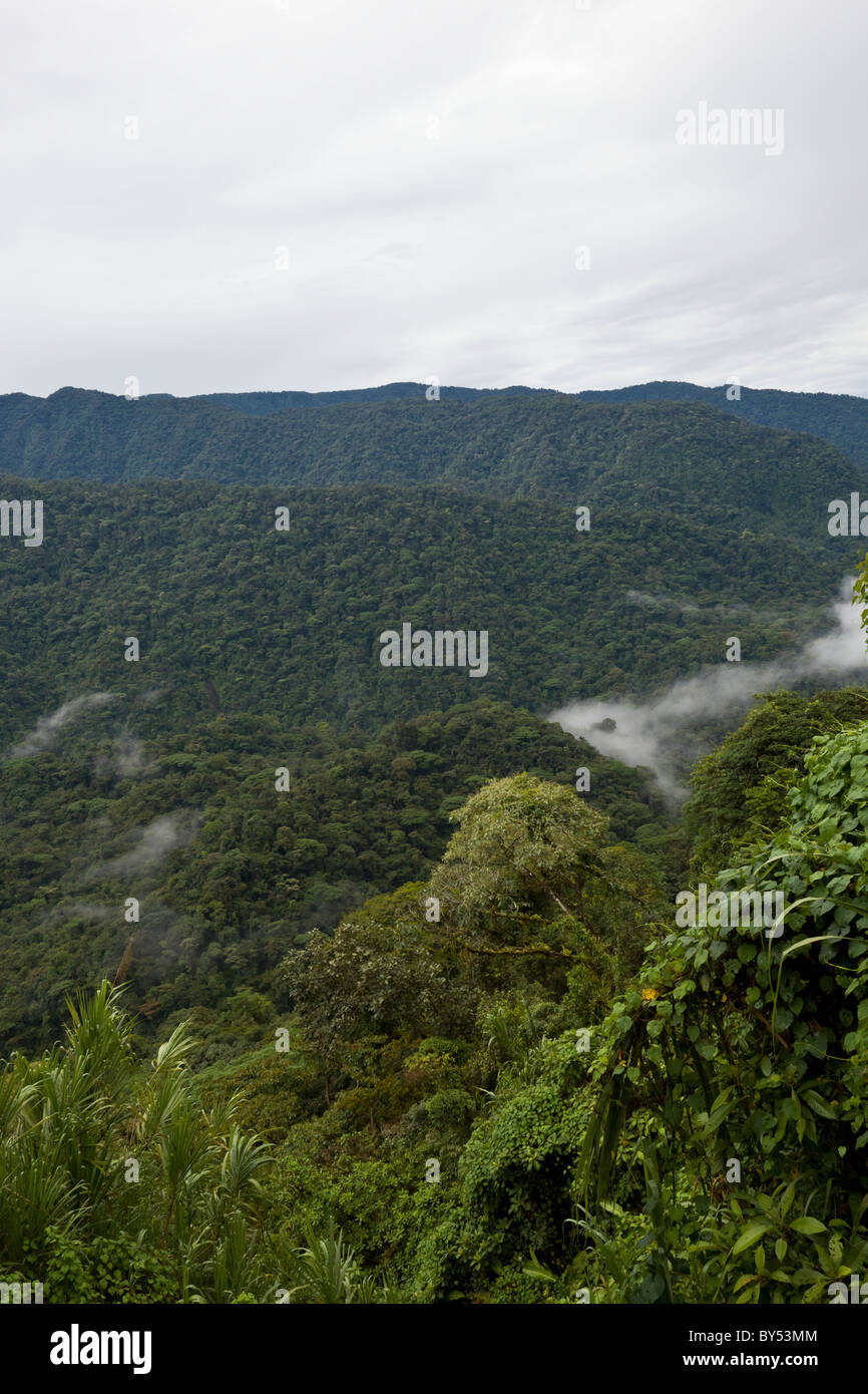 Tropischer Regenwald und Nebelwald umfassen den Braulio Carrillo Nationalpark in Provinz Heredia, Costa Rica. Stockfoto