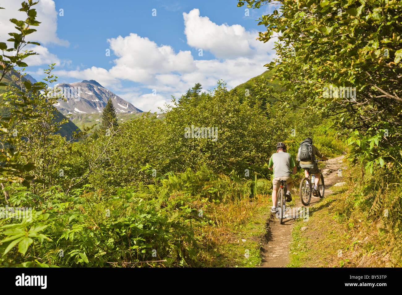 Zwei Mountainbiker auf der Lost Lake Trail in den Kenai Mountains auf der Kenai-Halbinsel in der Nähe von Seward Alaska Stockfoto