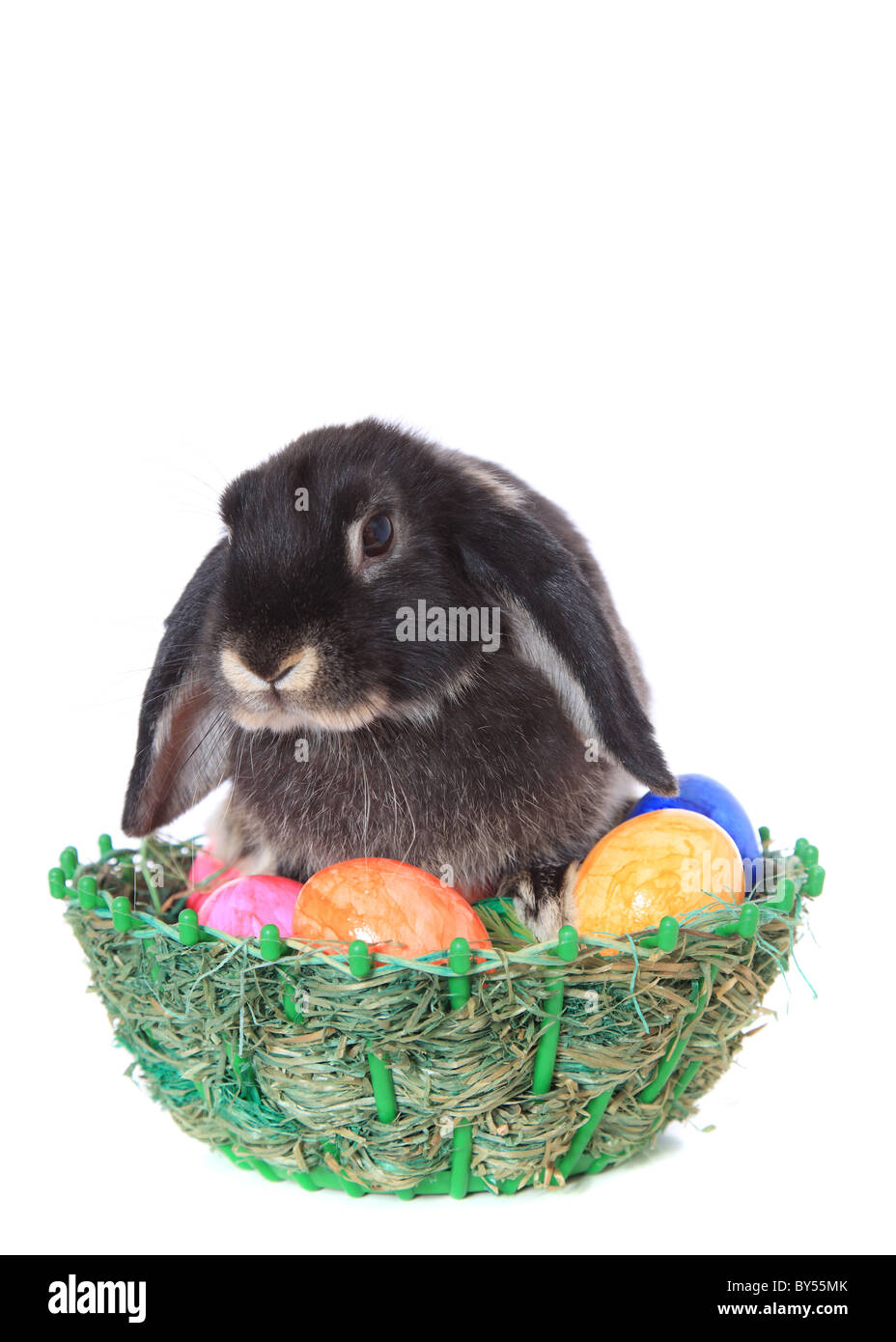 Süße schwarze Osterhase mit gefärbten Eiern. Alle auf weißem Hintergrund. Stockfoto