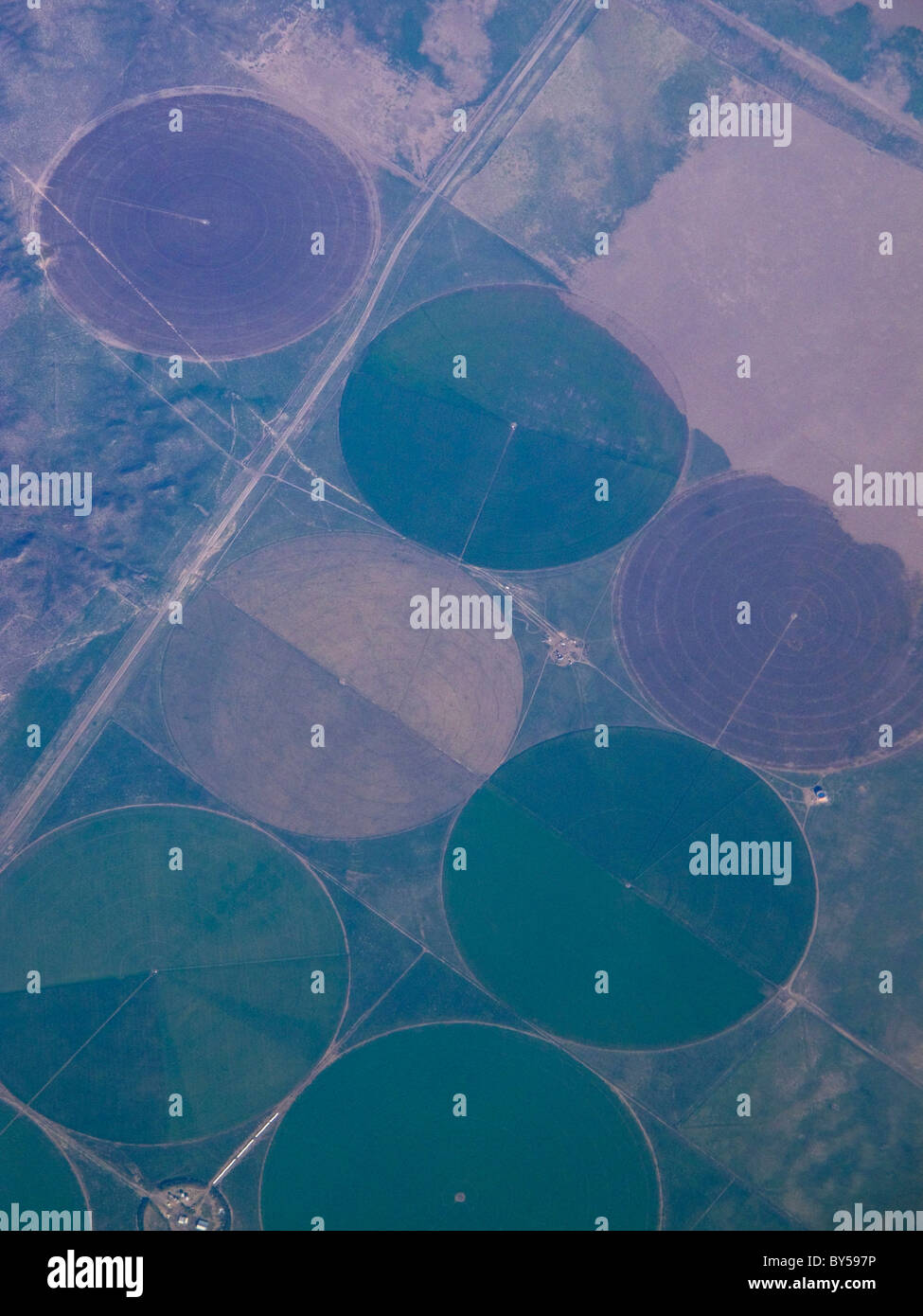 Luftaufnahme des bewässerten Feldern Stockfoto