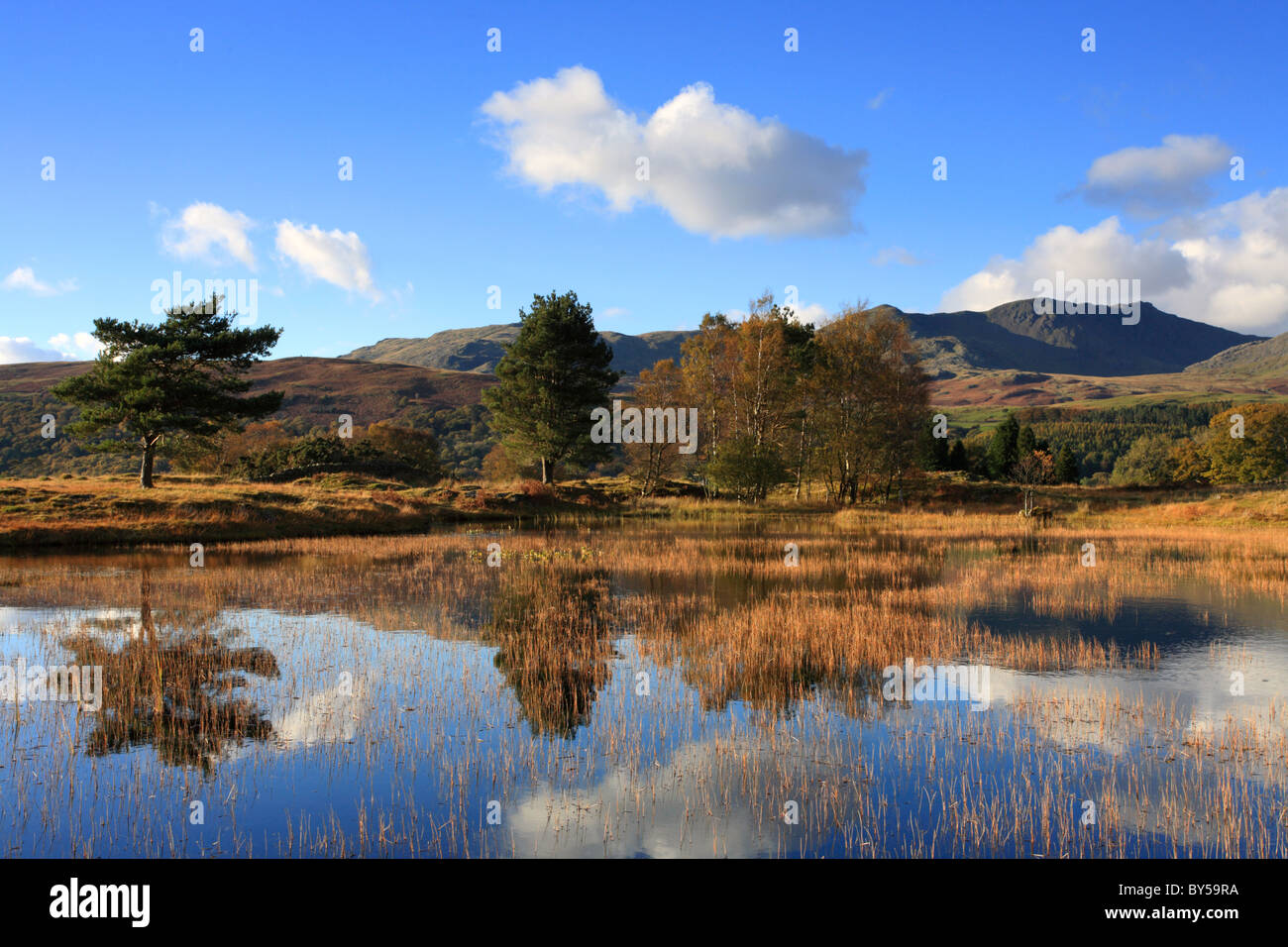 Kelly Hall Tarn, Torver gemeinsamen Coniston, Großbritannien, Refelections des Fjälls in das Stille Wasser. Lake District. Stockfoto